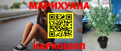 ПСИЛОЦИБИНОВЫЕ ГРИБЫ Краснодар
