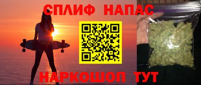 гидра Краснознаменск