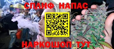 гидра Краснознаменск