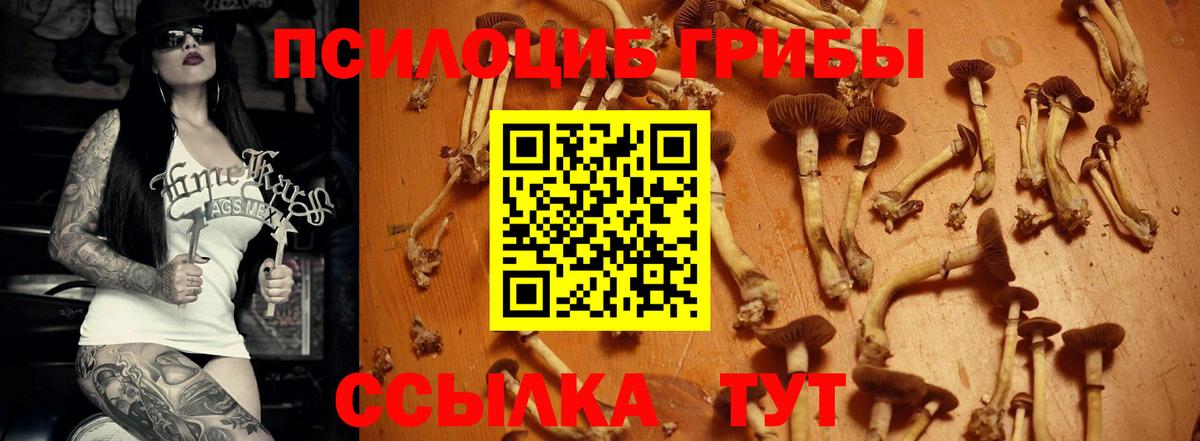 Галлюциногенные грибы Magic Shrooms  Вход с VPN  Псилоцибиновые грибы Cubensis  Елабуга 
